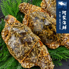 【阿家海鮮】鮮甜生凍佐渡母花蟹 250g-300g/隻(1隻入、2隻入)